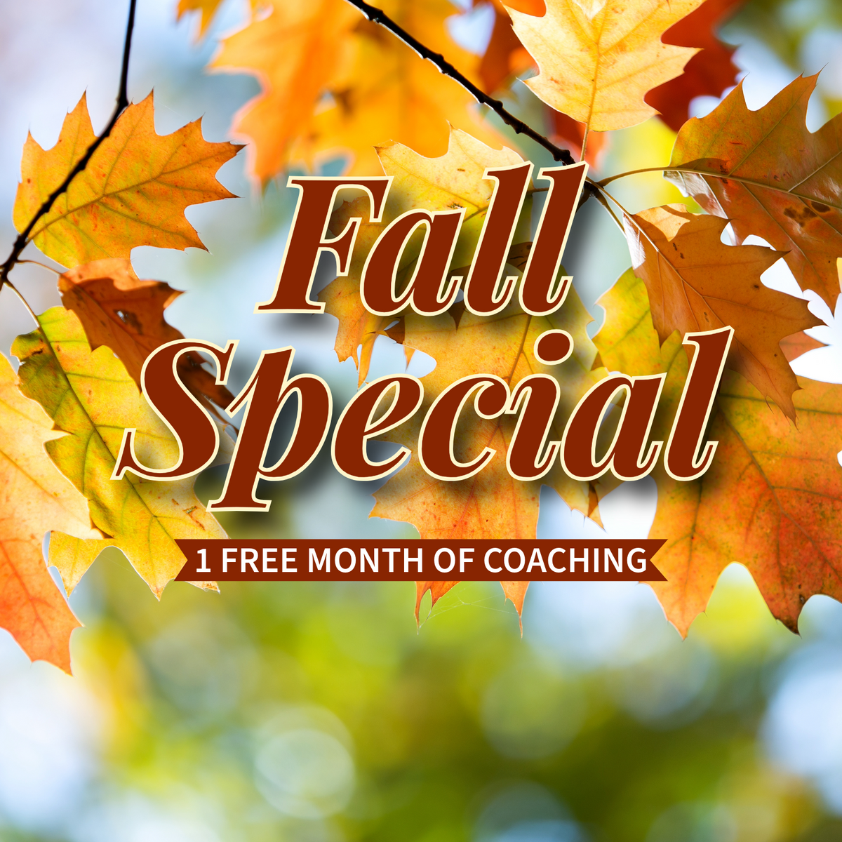 Fall Special - Coaching