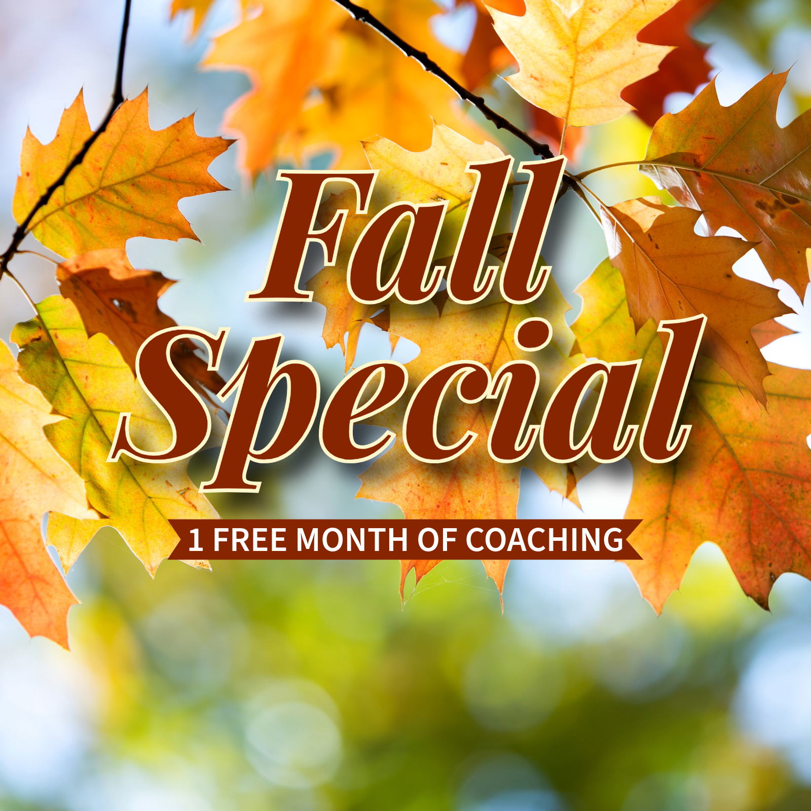 Fall Special - Coaching